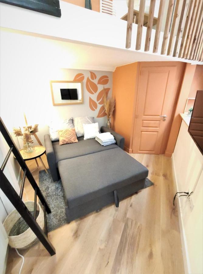 Le Lanternier - Hypercentre Les Quais - Netflix Apartment ตูลูส ภายนอก รูปภาพ